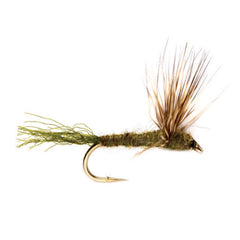 BWO,14