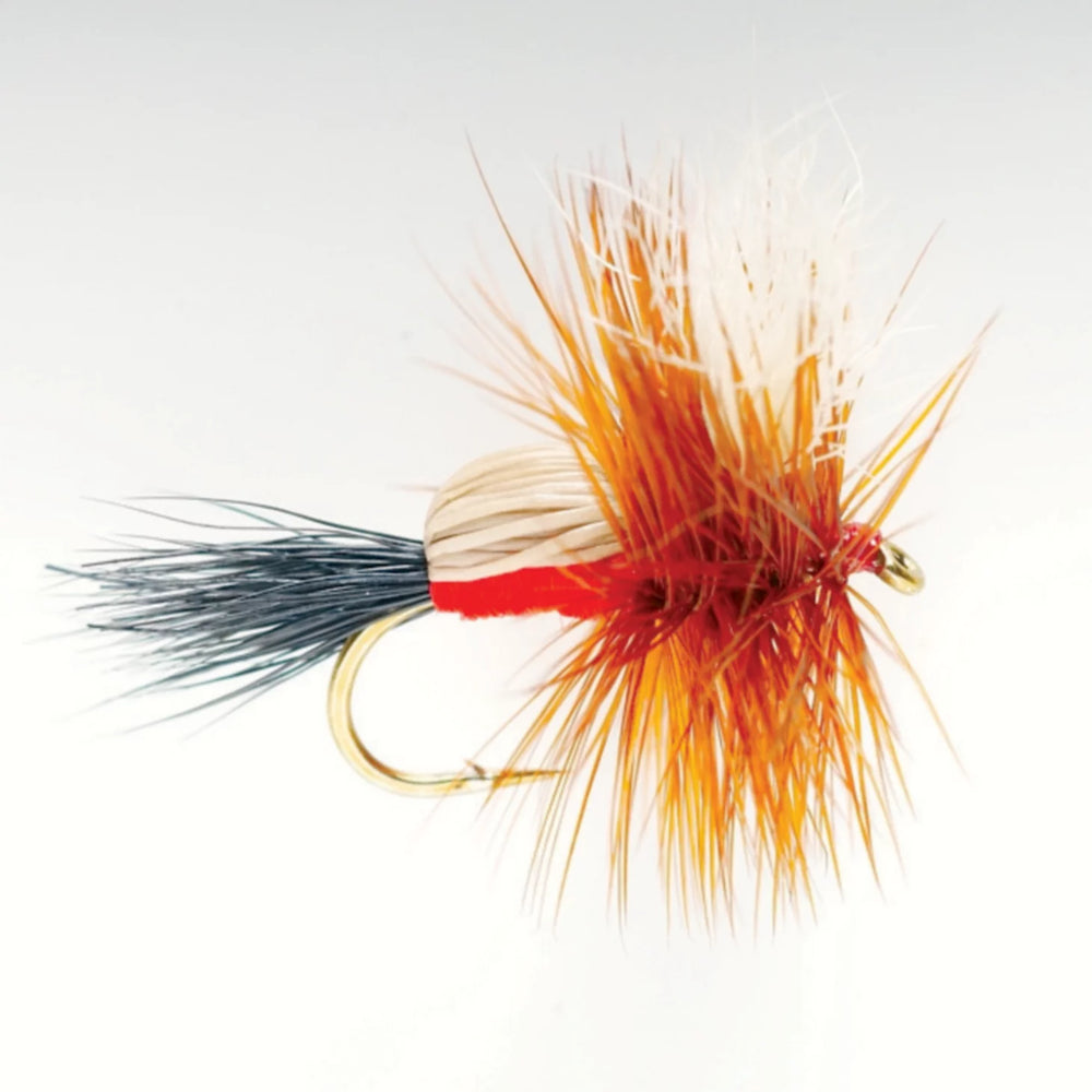 Orvis Fly Fishing Royal Humpy