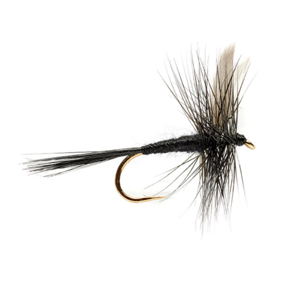 Orvis Fly Fishing Black Gnat