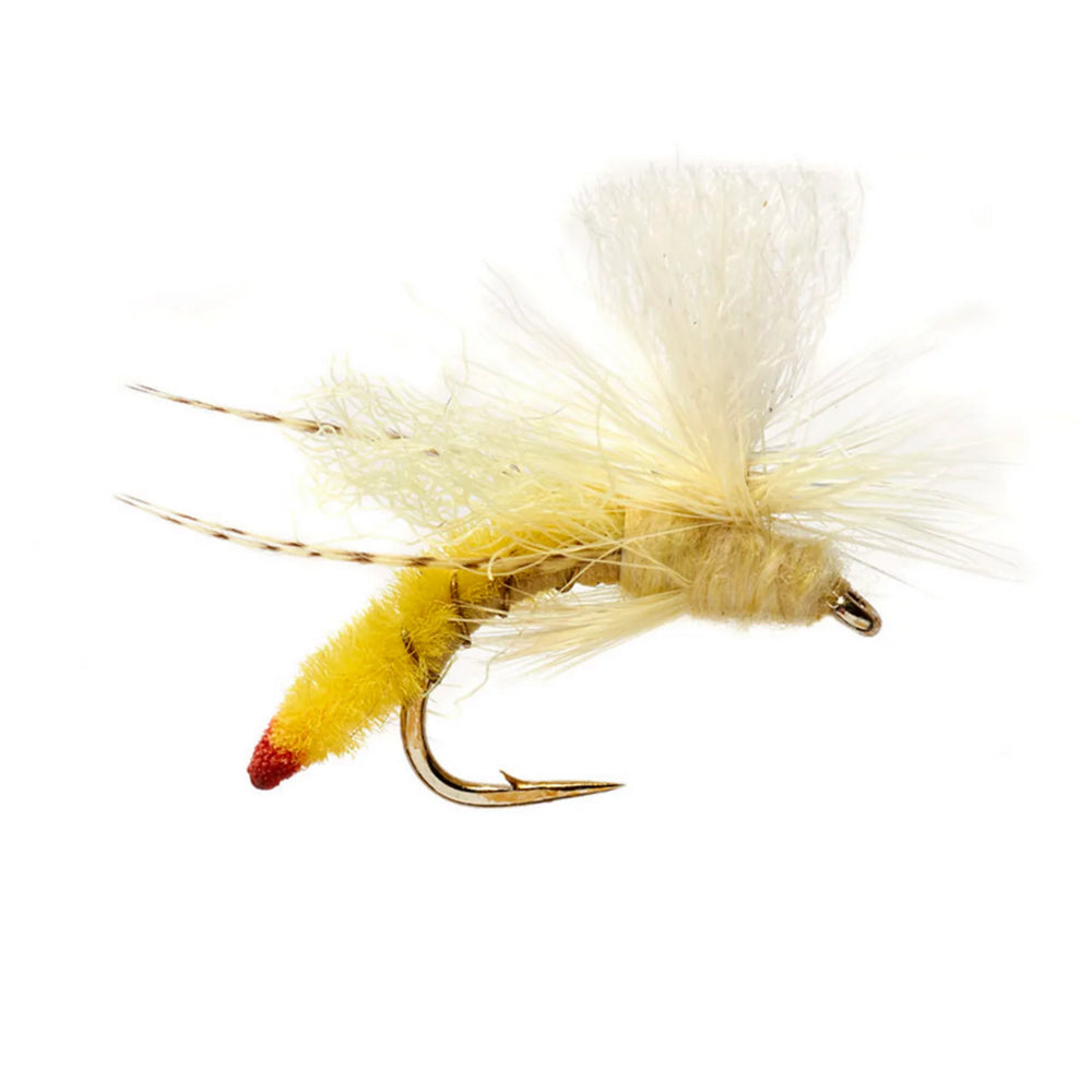 Orvis Fly Fishing Spotlight Yellow Sally