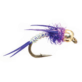 PURPLE,8