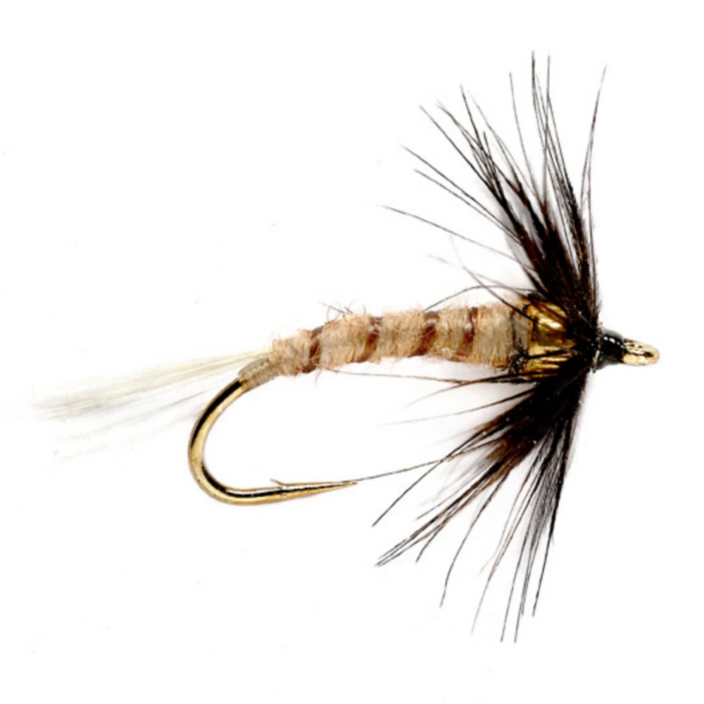 Orvis Fly Fishing Bead Head Flymph - Hendrickson