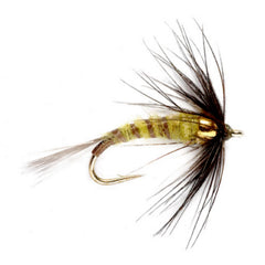 Orvis Fly Fishing Bead Head Flymph - BWO