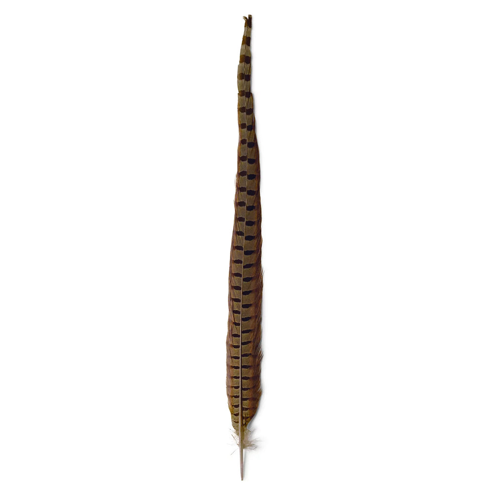 Orvis Fly Fishing Pheasant Tail