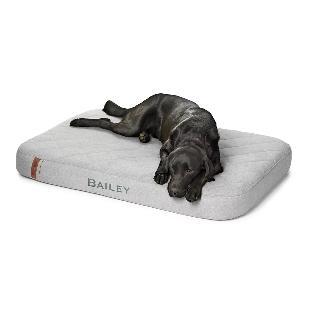 Orvis Dog|Hunt Orvis RecoveryZone® Lounger Dog Bed