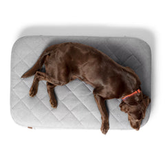 Orvis Dog|Hunt Orvis RecoveryZone® Lounger Dog Bed