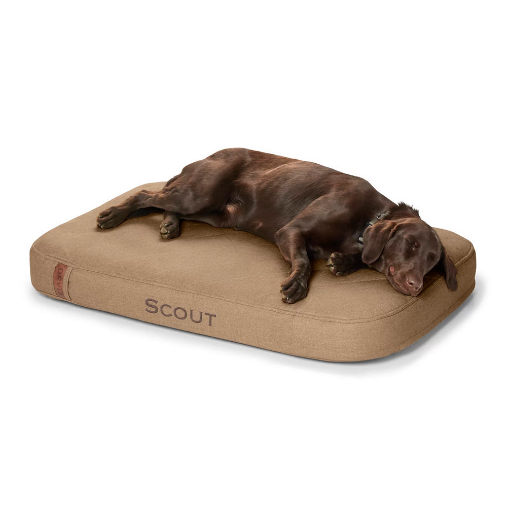 Orvis Dog Orvis RecoveryZone® ToughChew® Lounger Dog Bed