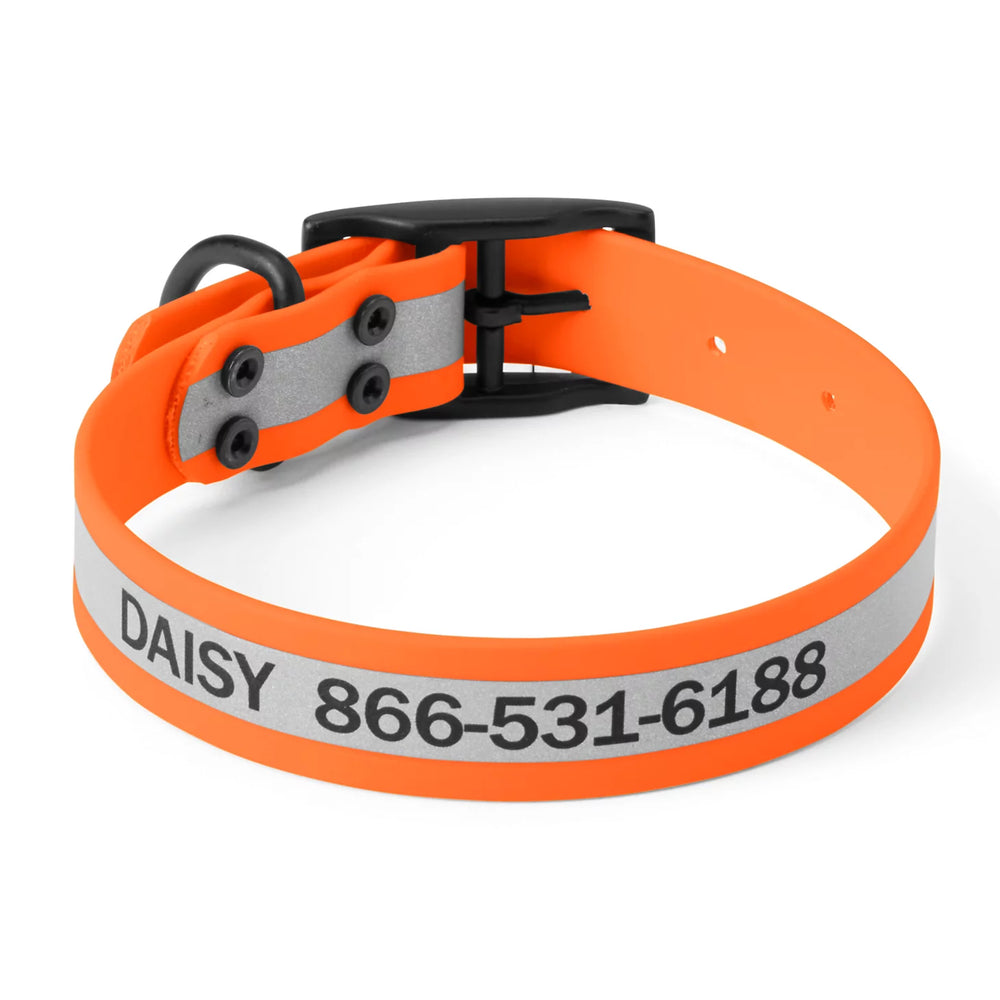 Orvis Dog Orvis Waterproof Dog Collar