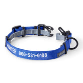 BLUE,S