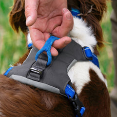Orvis Dog Tough Trail® Four-Point Dog Harness
