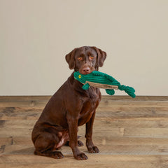 Orvis Dog Animal Squeaky Toys