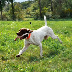 Orvis Dog|Hunt Game-Bird Training Dummy