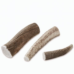Orvis Dog Elk Antler Chews