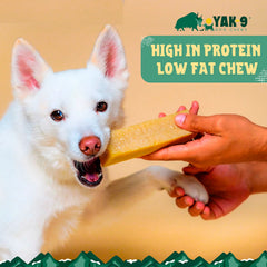 Orvis Dog Yak-9 Dog Chew - Single