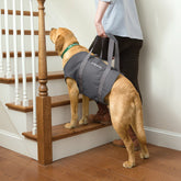 Orvis Dog Dog Lift
