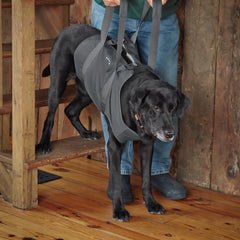 Orvis Dog Dog Lift