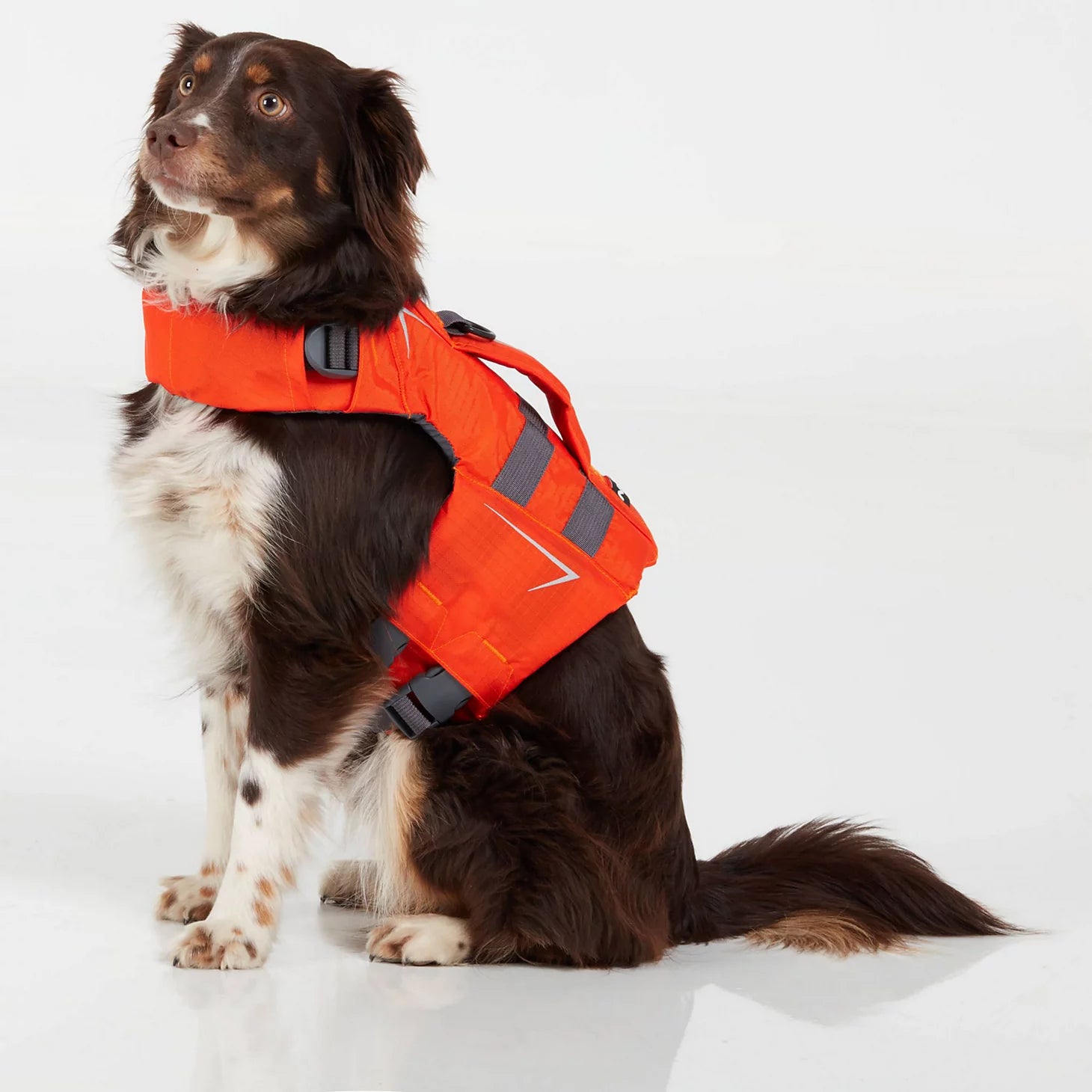 Orvis Fly Fishing|Dog NRS Dog Life Jacket