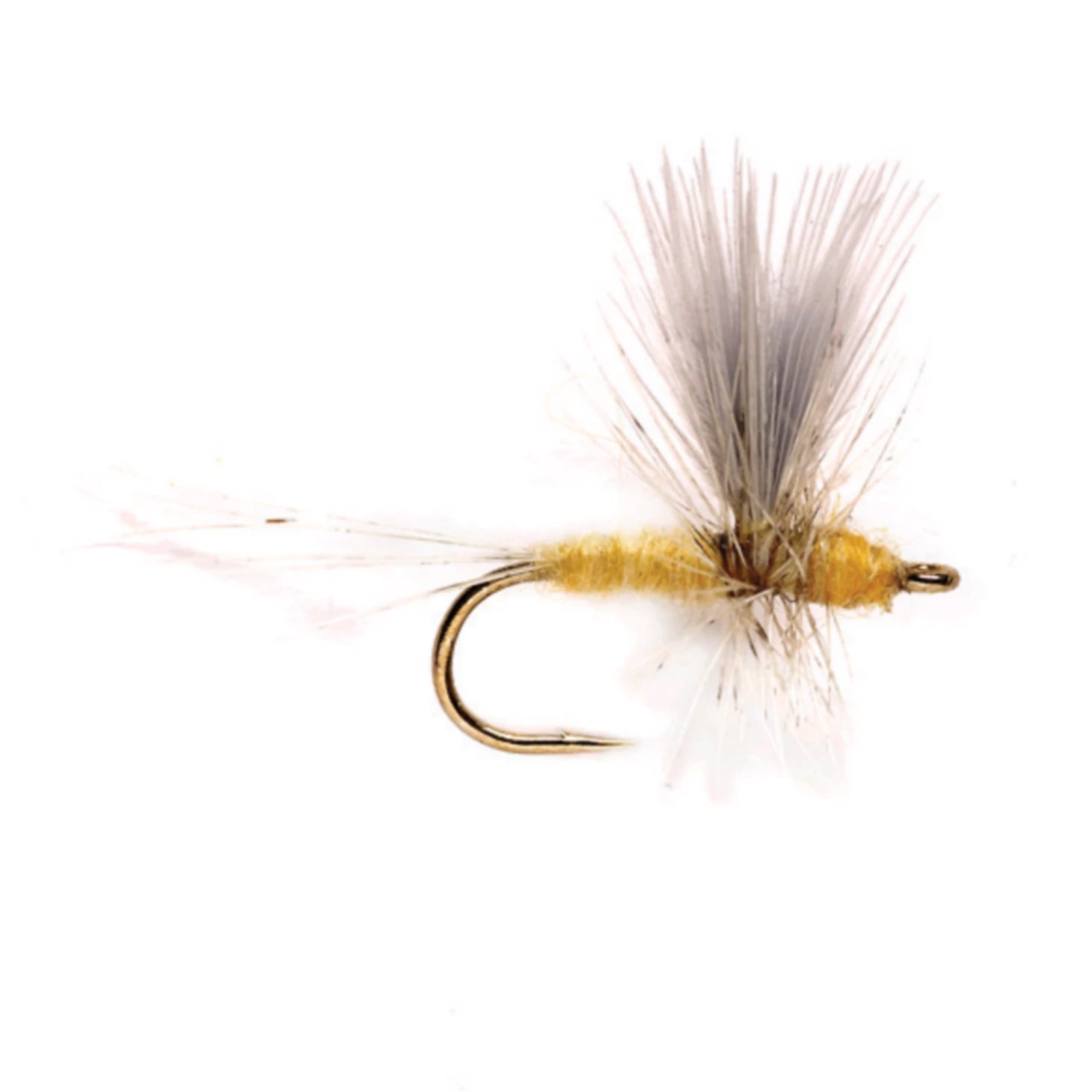 Orvis Fly Fishing Pale Morning Dun Thorax