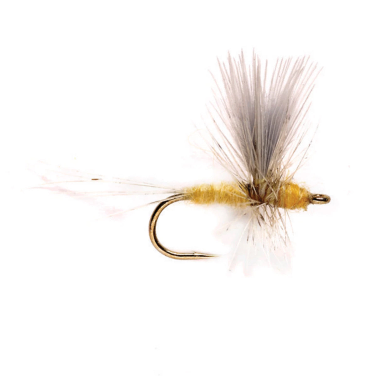 Orvis Fly Fishing Pale Morning Dun Thorax