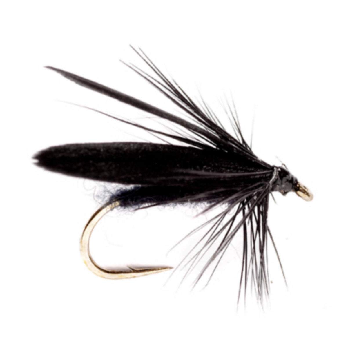 BLACK,14