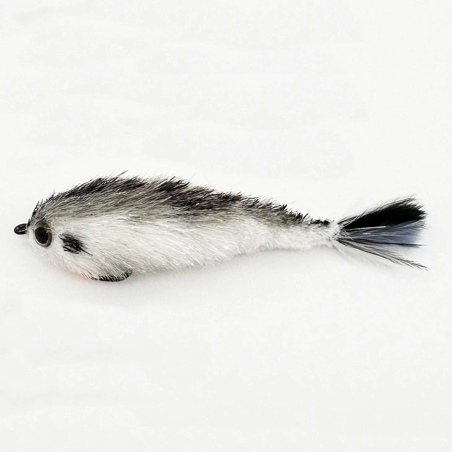 SHAD,2/0