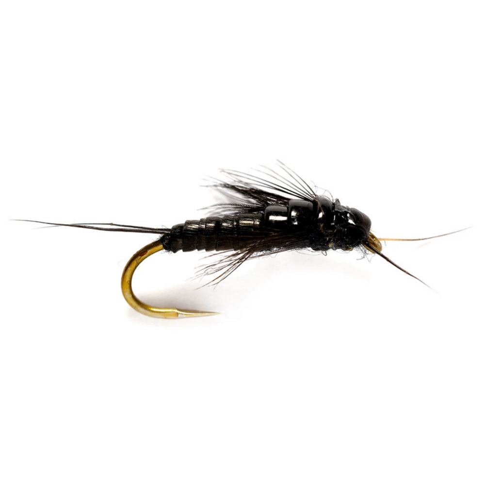 Orvis Fly Fishing Little Black Stonefly