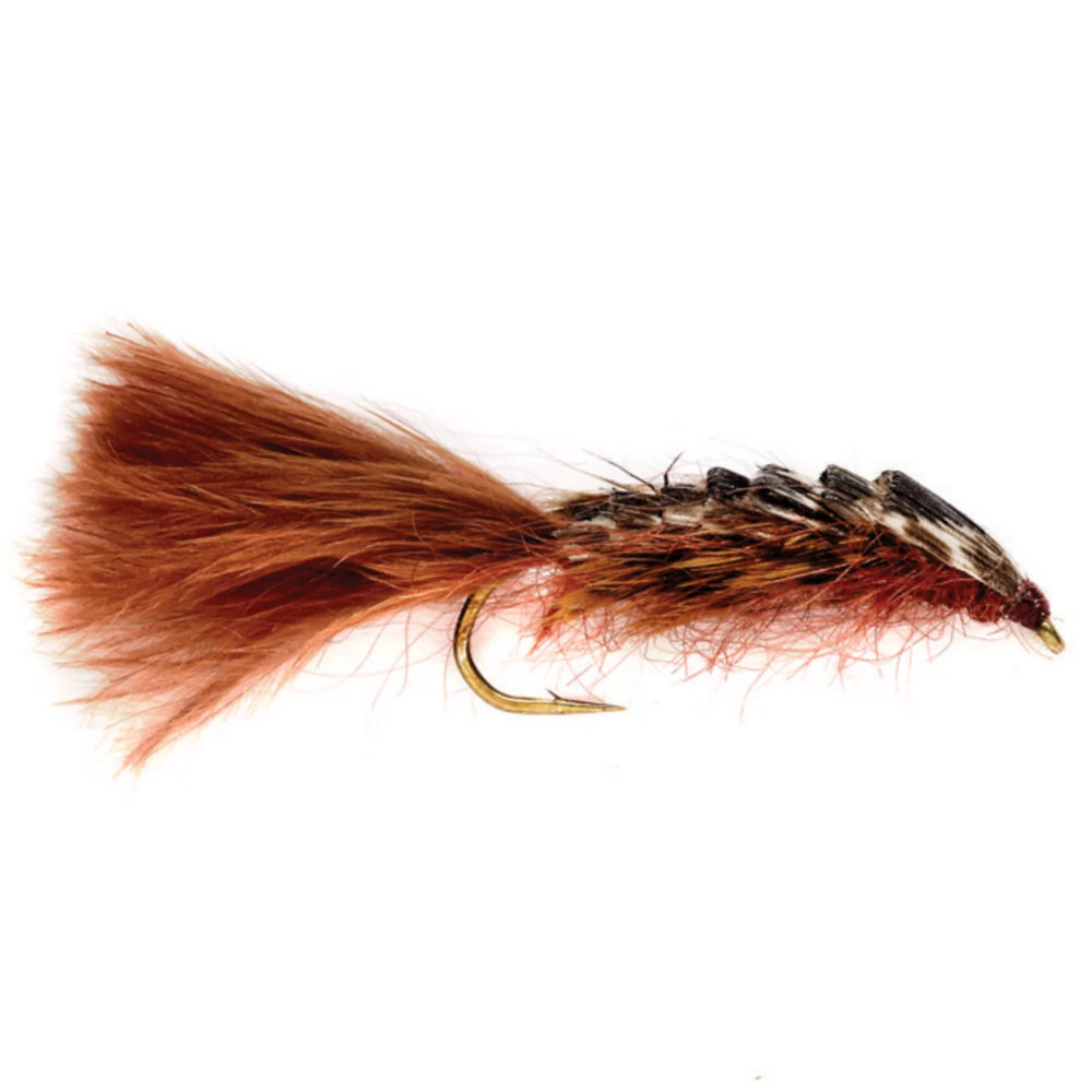 BROWN,6