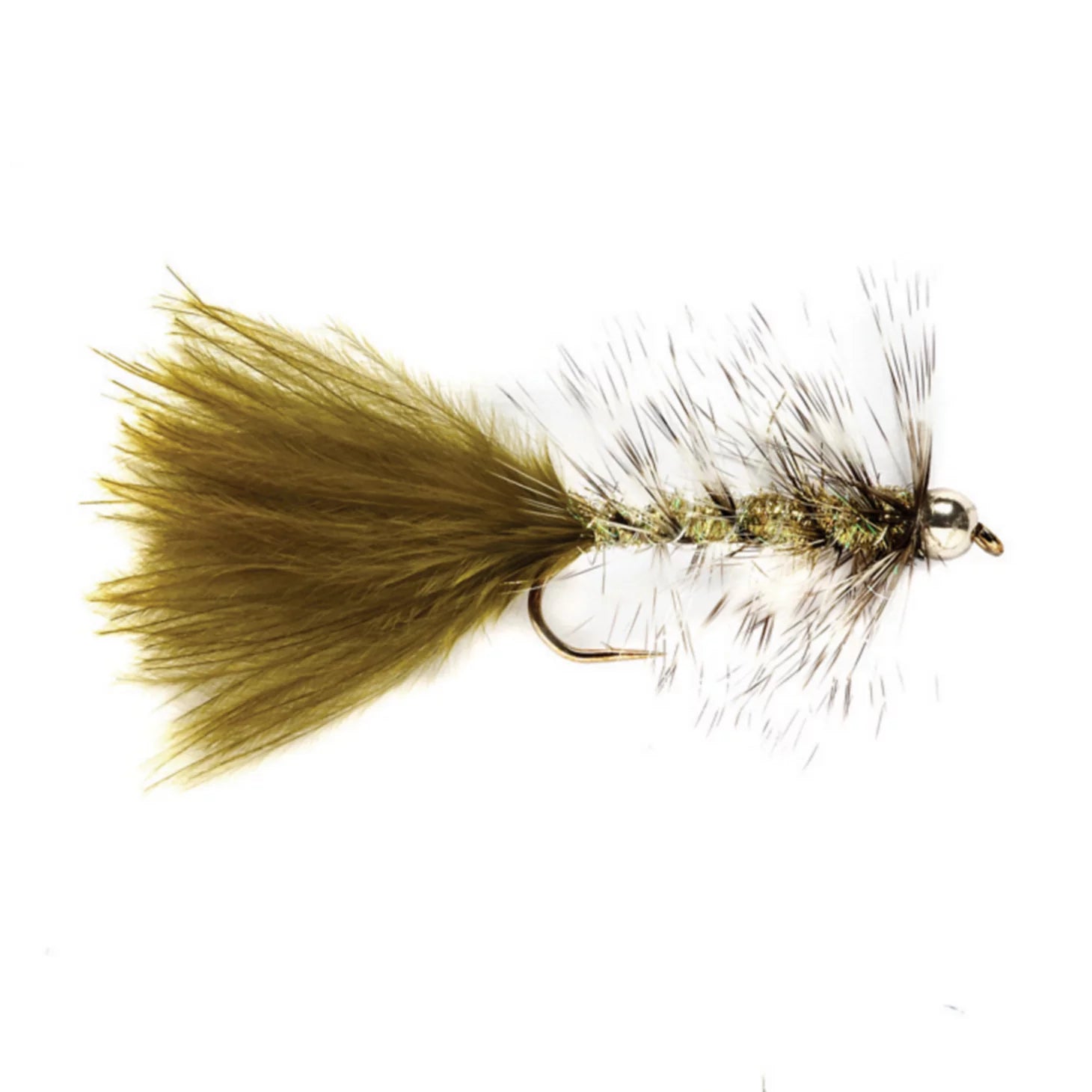 OLIVE,6