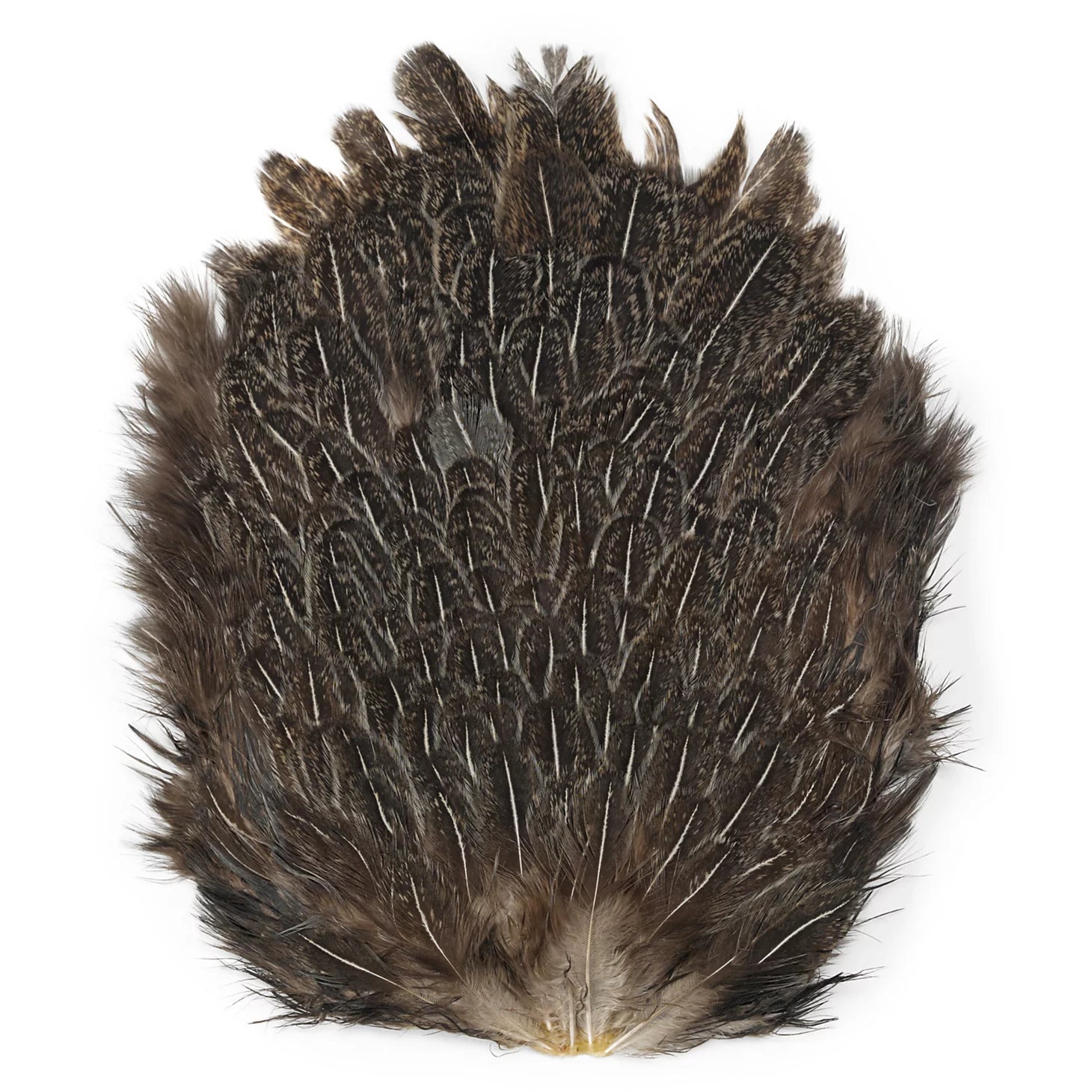 Orvis Fly Fishing India Hen Backs