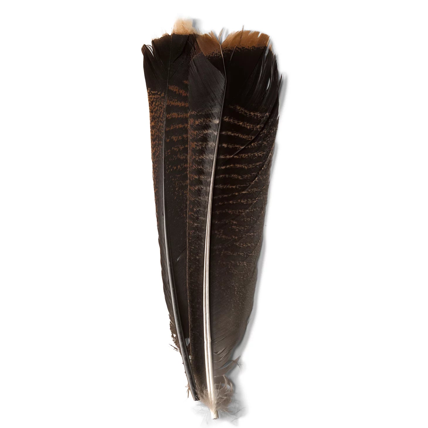 Orvis Fly Fishing Mottled Turkey Feathers
