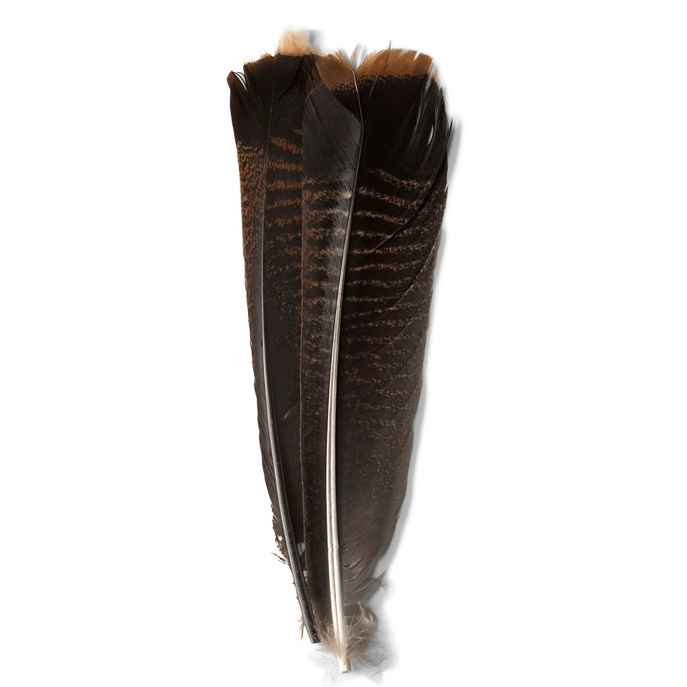 Orvis Fly Fishing Mottled Turkey Feathers