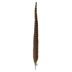 Orvis Fly Fishing Pheasant Tail