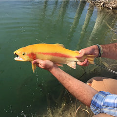 Orvis Fly Fishing Boerne, Texas Hill Country Fly Fishing School Hosted By Joshua Creek Ranch