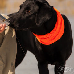Orvis Fly Fishing Lowcountry Saltwater Fishing School, SC