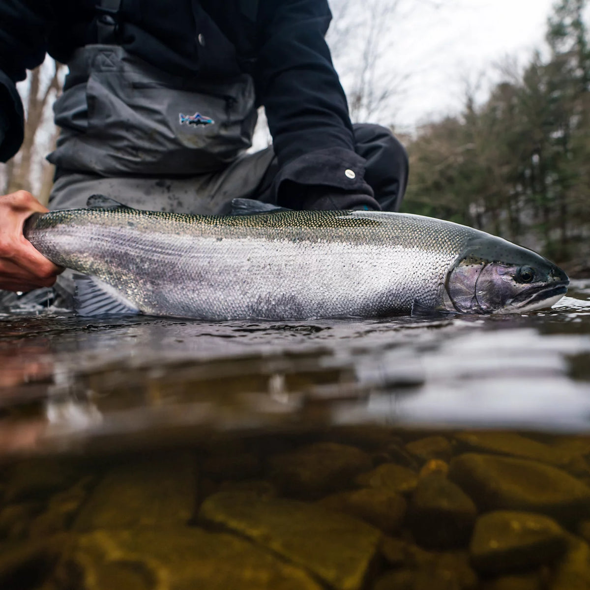 Orvis Fly Fishing Orvis Steelhead School At Tailwater Lodge Altmar, NY