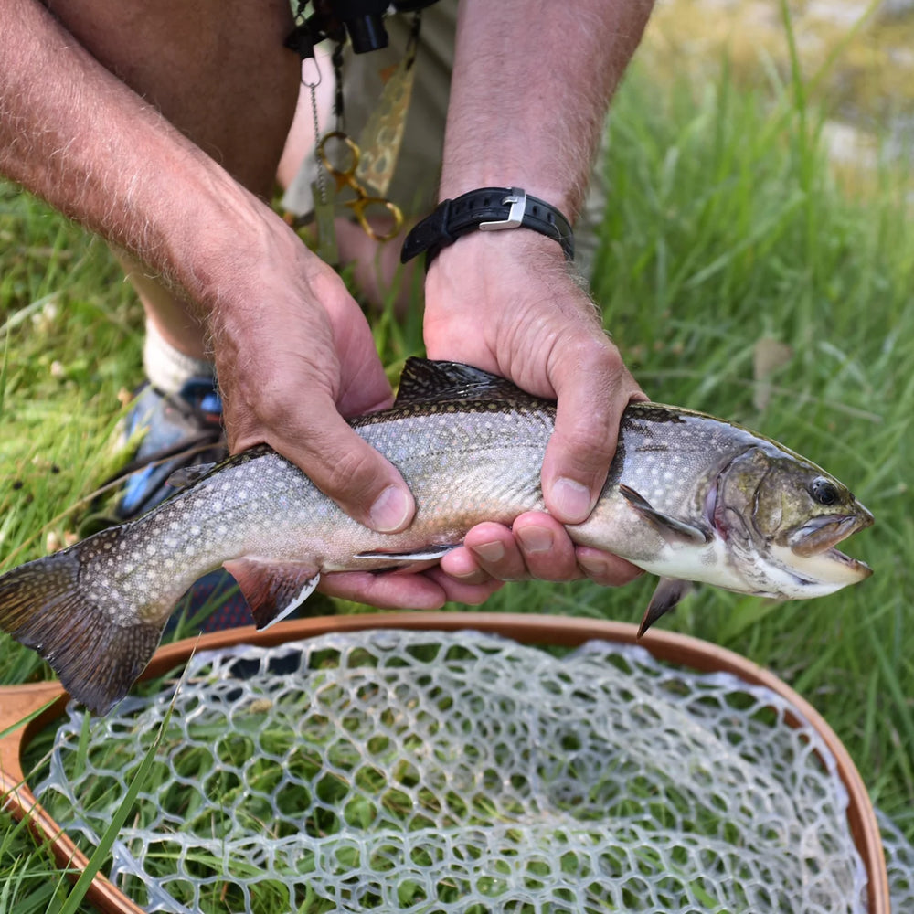Orvis Fly Fishing Clyde, Ohio Fly Fishing School