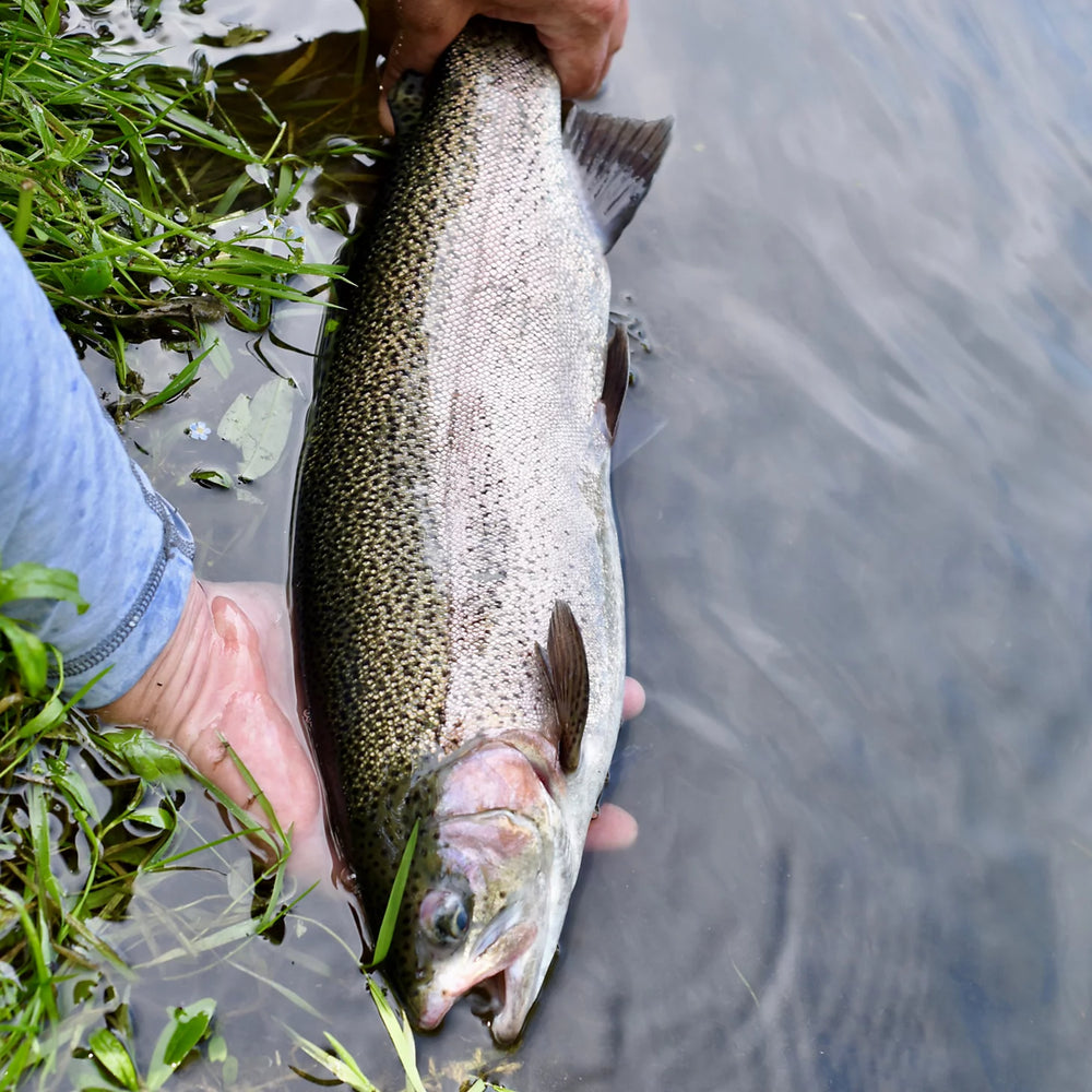 Orvis Fly Fishing Clyde, Ohio Fly Fishing School