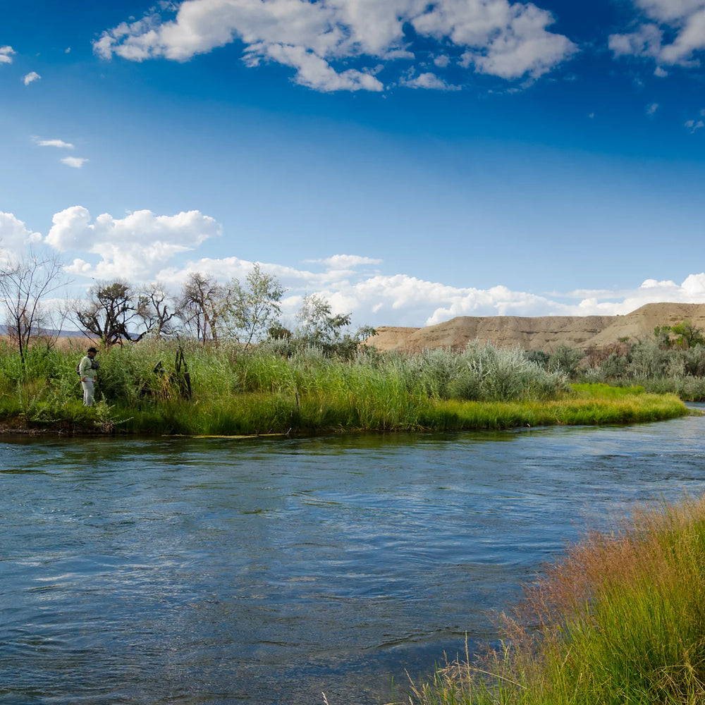 Orvis Fly Fishing Trout School At Falcon's Ledge, Utah