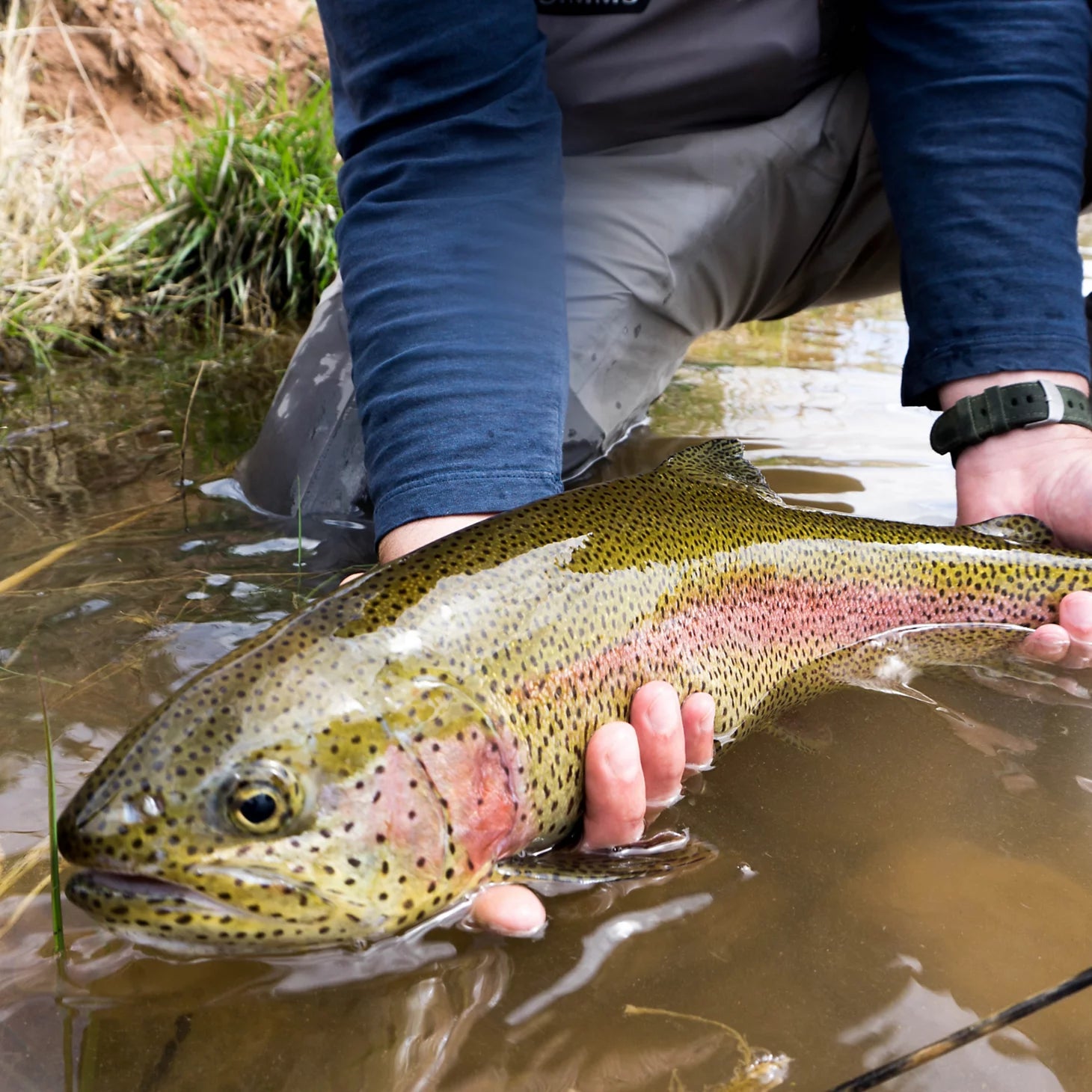 Orvis Fly Fishing Trout School At Falcon's Ledge, Utah