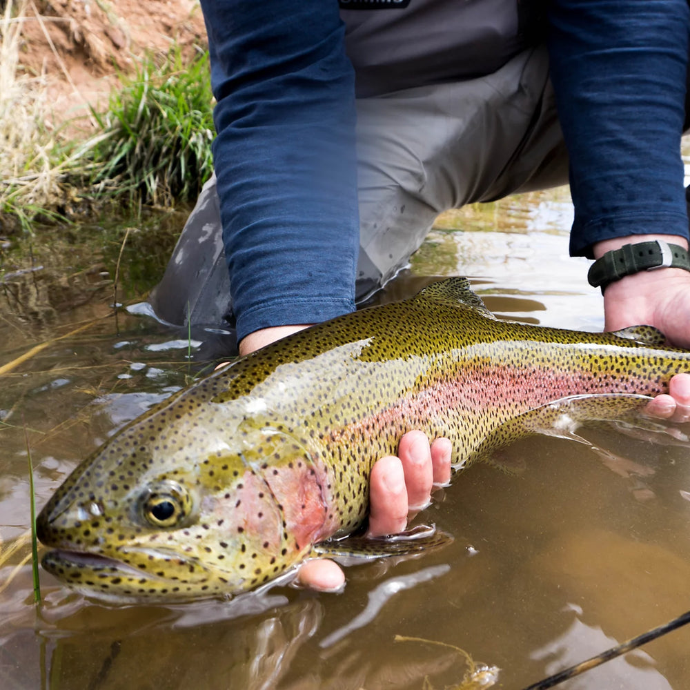 Orvis Fly Fishing Trout School At Falcon's Ledge, Utah