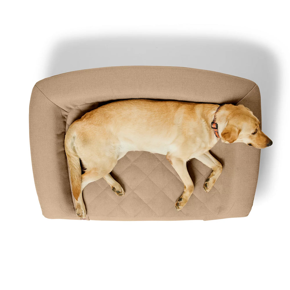 Orvis Dog Orvis RecoveryZone® ToughChew® Couch Dog Bed