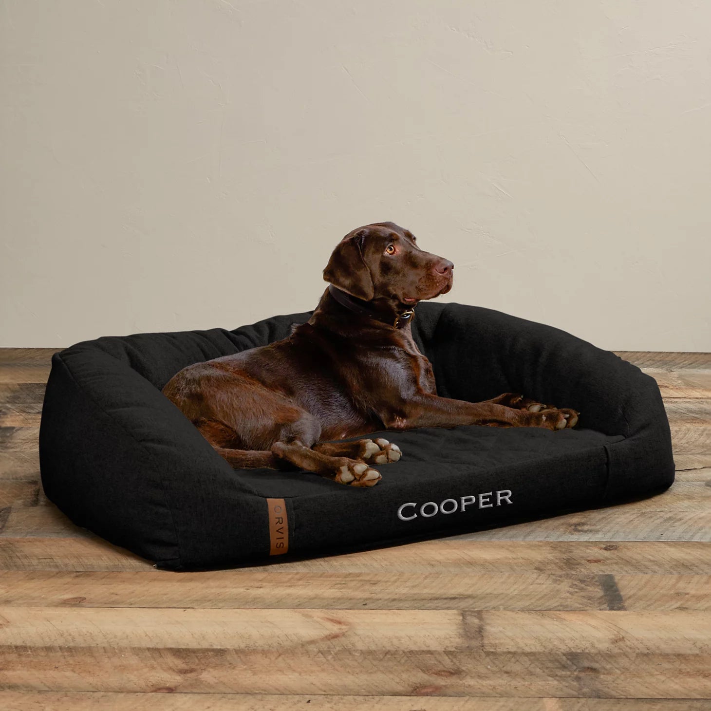 Orvis Dog Memory Foam Couch Dog Bed