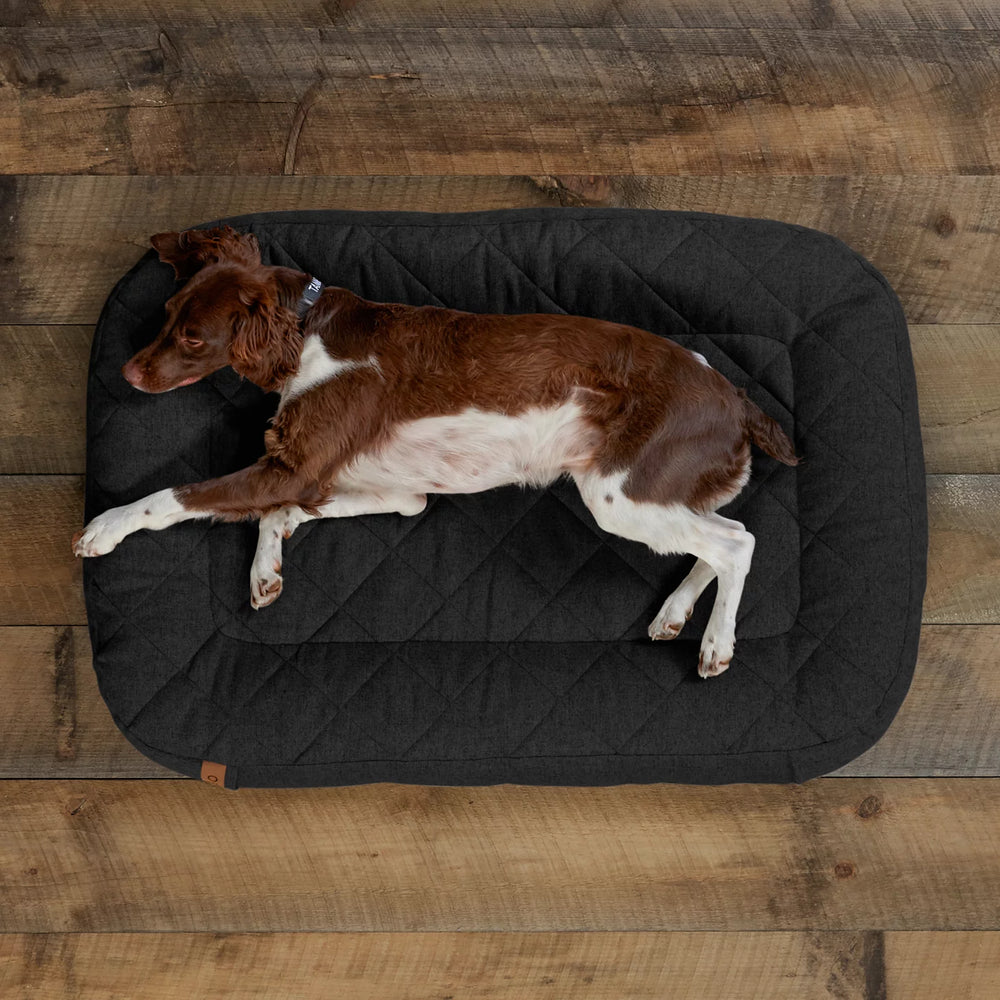 Orvis Dog Memory Foam Lounger Dog Bed