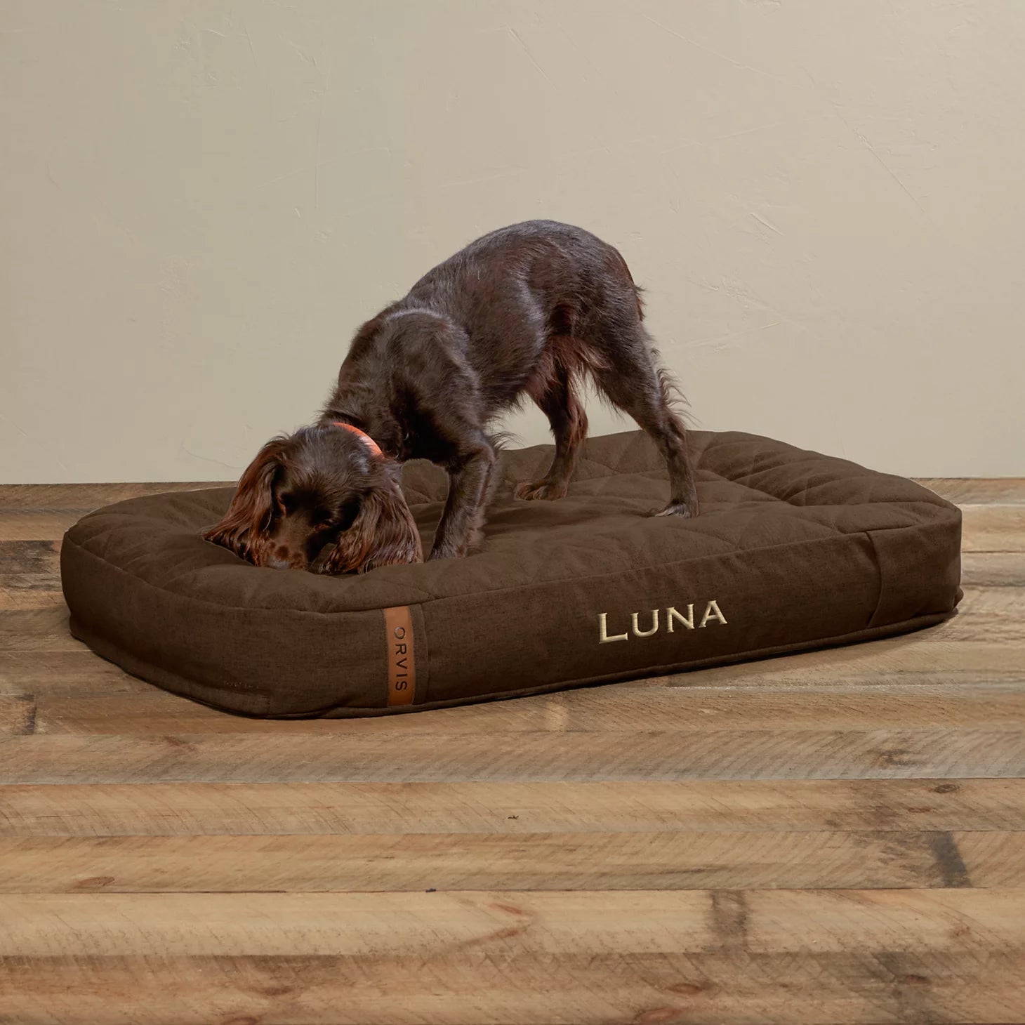 Orvis Dog ToughChew® Memory Foam Lounger Dog Bed