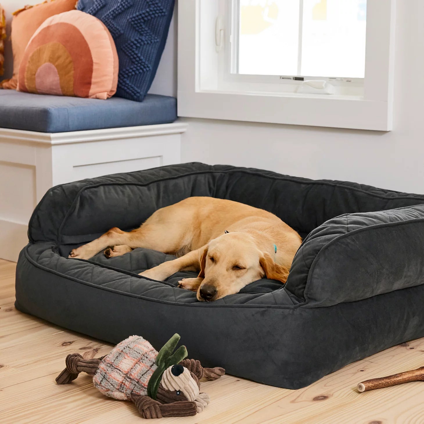Orvis Dog Orvis Memory Foam Deluxe Dog Bed