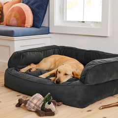 Orvis Dog Orvis Memory Foam Deluxe Dog Bed