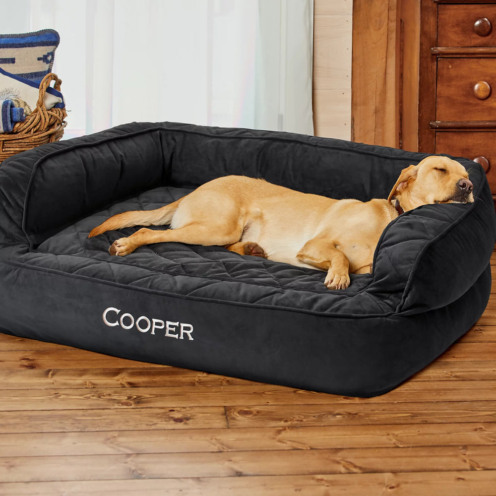 Orvis Dog Orvis Memory Foam Deluxe Dog Bed