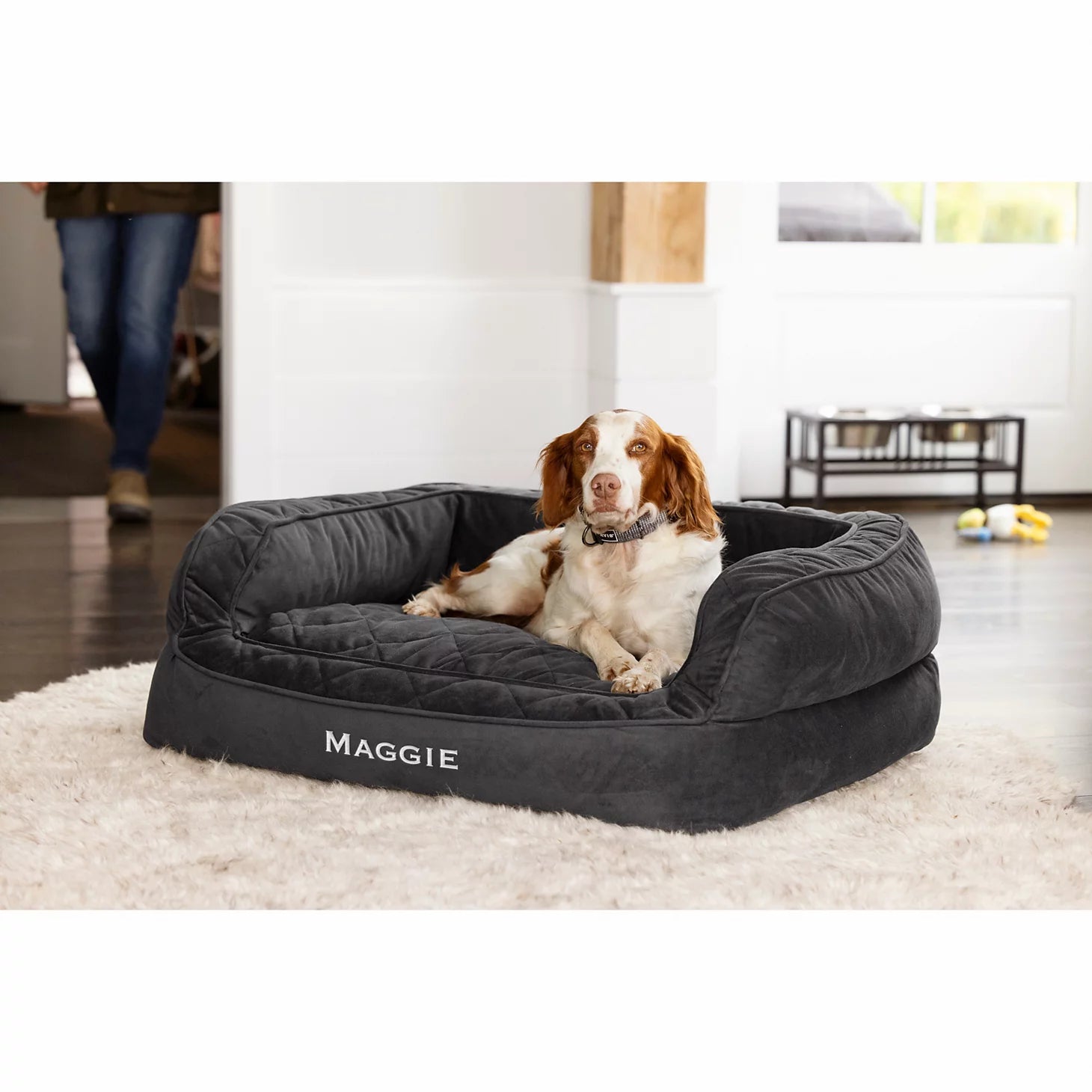 Orvis Dog Orvis Memory Foam Deluxe Dog Bed