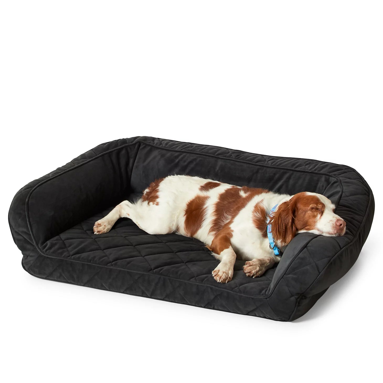 Orvis Dog Orvis ComfortFill-Eco™ Couch Dog Bed