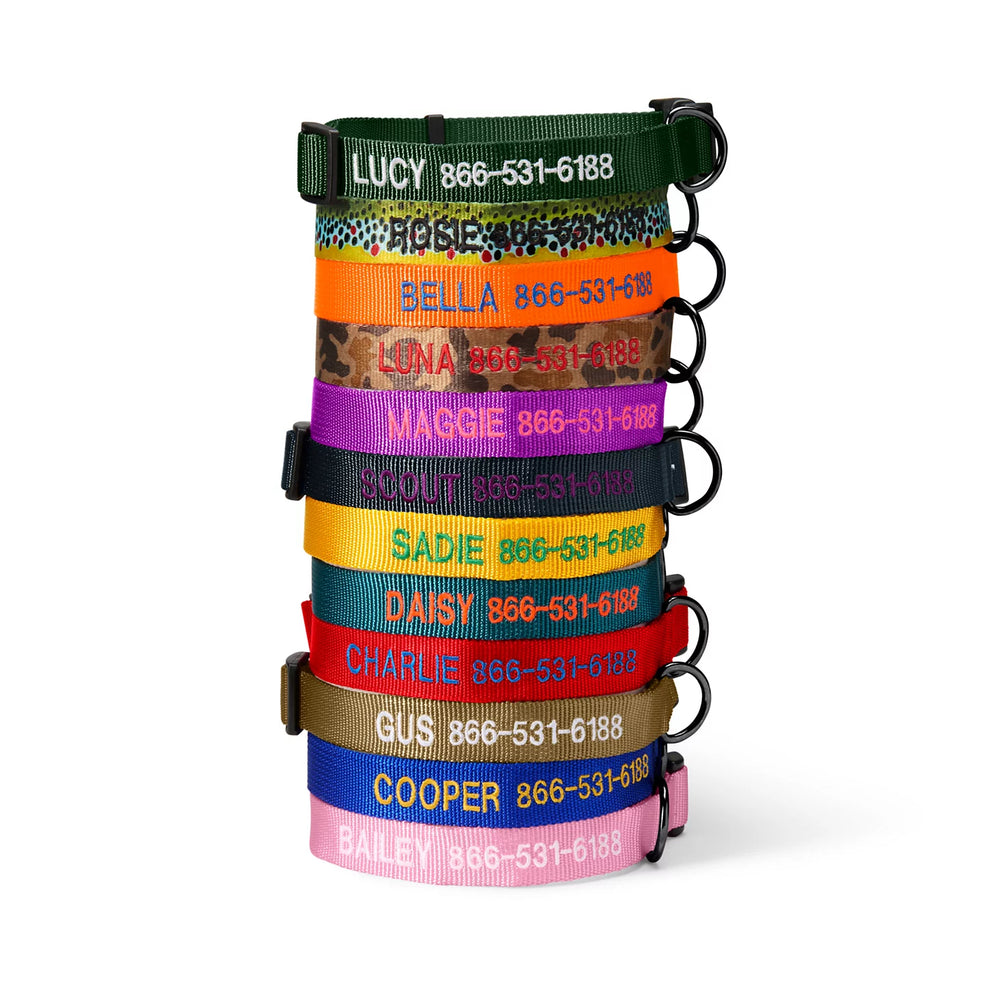 Orvis Dog Personalized Side-Release Buckle Collar